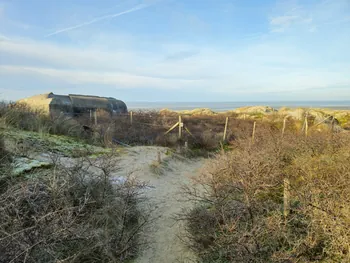 Oostnieuwkerke duinen wandeling in de koude (België)